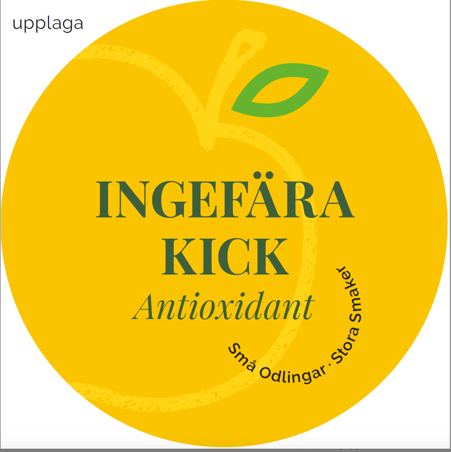 Ingefärakick 60 ml – Farmers Juice
